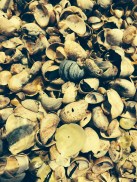 Photo Jul 08, 11 32 10 AM