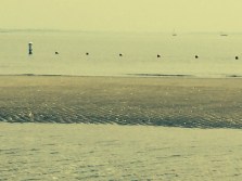 Photo Jul 08, 11 49 48 AM