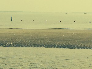 Photo Jul 08, 11 49 48 AM