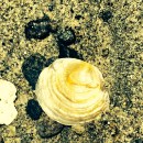 Photo Jul 08, 11 50 23 AM