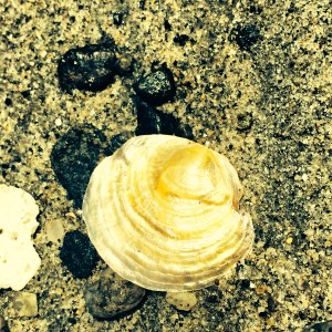 Photo Jul 08, 11 50 23 AM