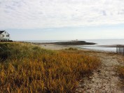 Photo Oct 30, 11 37 20 AM