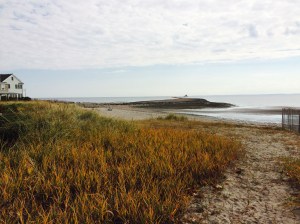 Photo Oct 30, 11 37 20 AM