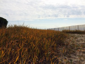 Photo Oct 30, 11 47 19 AM