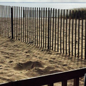 Photo Oct 30, 12 55 20 PM