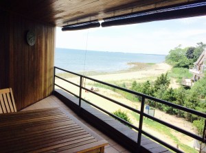 10 Pine Creek Ave 401W at Kensie Point