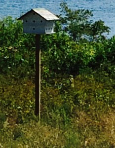 Birdhouse by Russian Beach, Lordship