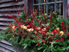 Winter window box