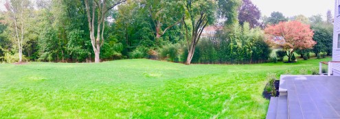 Hillandale Back Yard and Patio