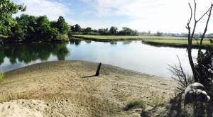 tidal-marsh-trail-end