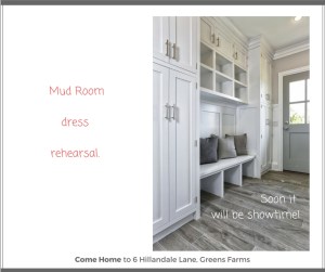 Mudroom with Elegant Bench Cushions