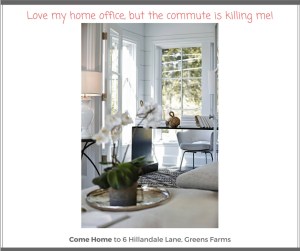 Zen-like Home Office