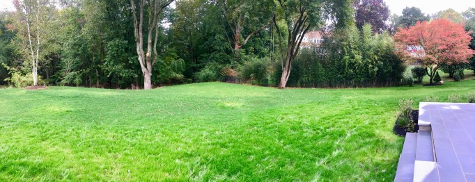 6 Hillandale Ln Back Yard