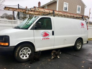 Firesaft Chimney Service