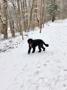 Splash on trail in winter